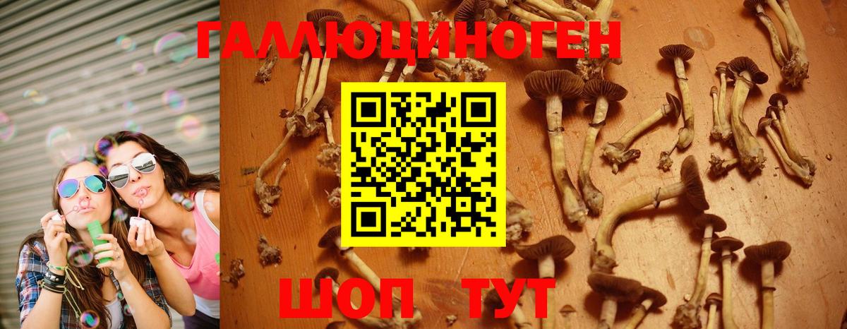 Галлюциногенные грибы ЛСД Краснокамск