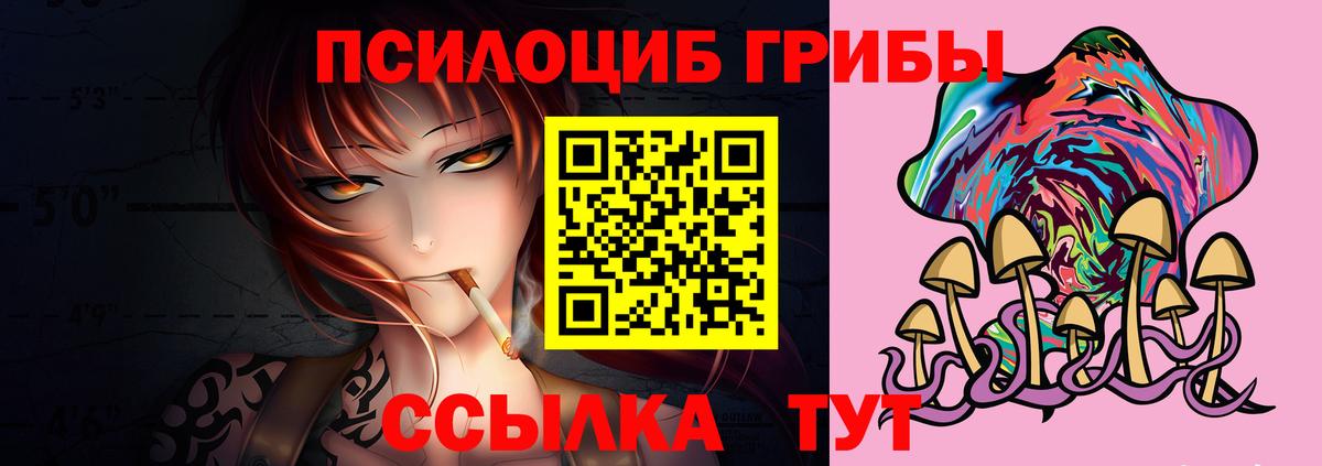 Краснокамск  Псилоцибиновые грибы прущие грибы  Вход с VPN 