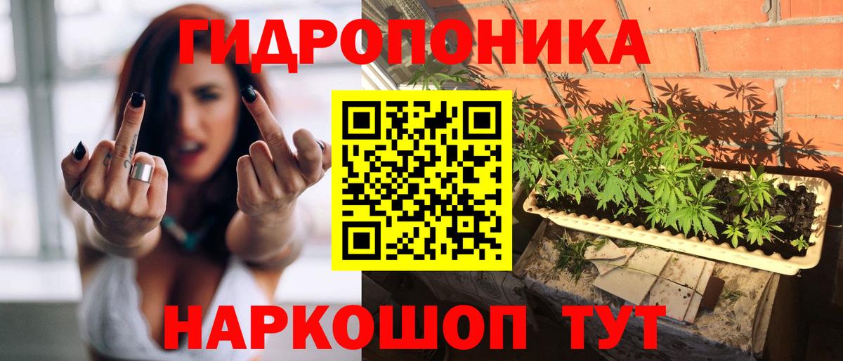 Краснокамск  Бошки Шишки SATIVA & INDICA  МАРИХУАНА SATIVA & INDICA  Вход с VPN  Каннабис VHQ 